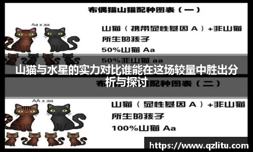山猫与水星的实力对比谁能在这场较量中胜出分析与探讨